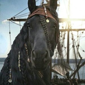 Meet your Posher, Patty